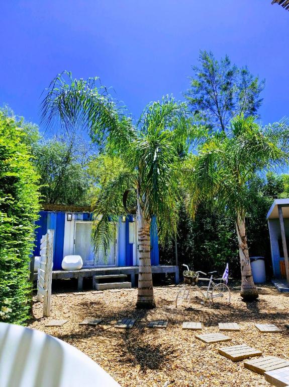 El jardín y las suites container de Squania, en su galería actual de Booking